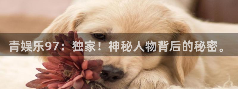 运达娱乐凯捷开号链接