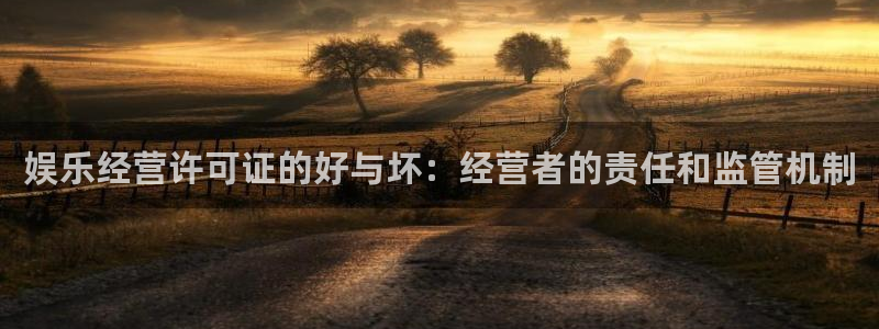 运达娱乐加拿大在线预测：娱乐经营许可证的好与坏：经营者的责任和监管机制