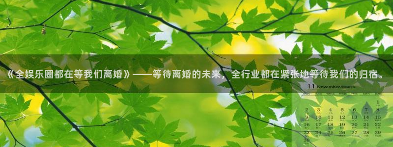 运达娱乐游戏官网入口：《全娱乐圈都在等我们离婚》——等待离婚的未来，全行业都在紧
