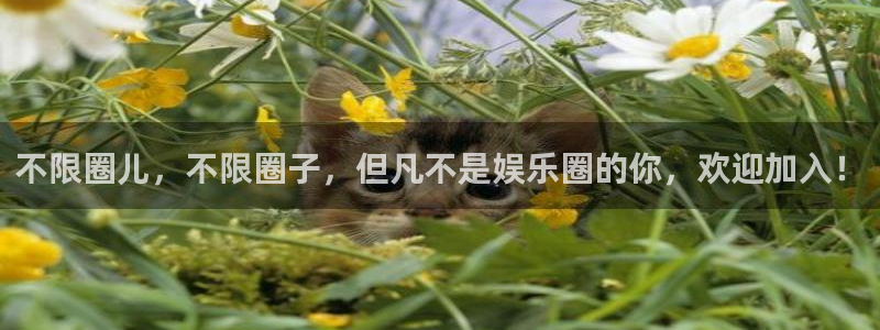 运达娱乐麻将胡了：不限圈儿，不限圈子，但凡不是娱乐圈的你，欢迎加入！