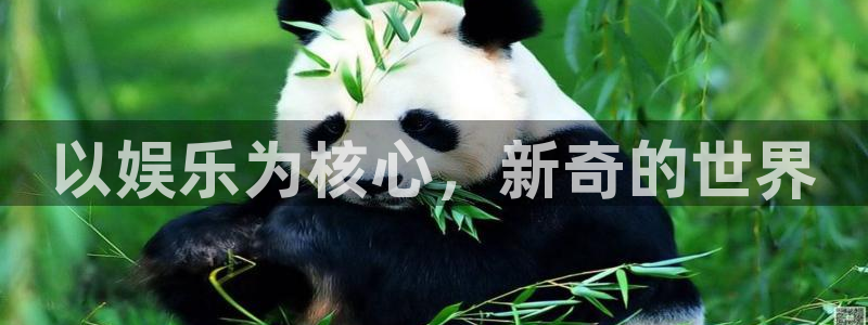运达娱乐体育凯捷平台主管：以娱乐为核心，新奇的世界