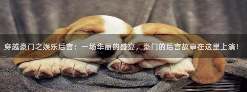 运达娱乐手机版下载：穿越豪门之娱乐后宫：一场华丽的盛宴，豪门的后宫故事在这里上演