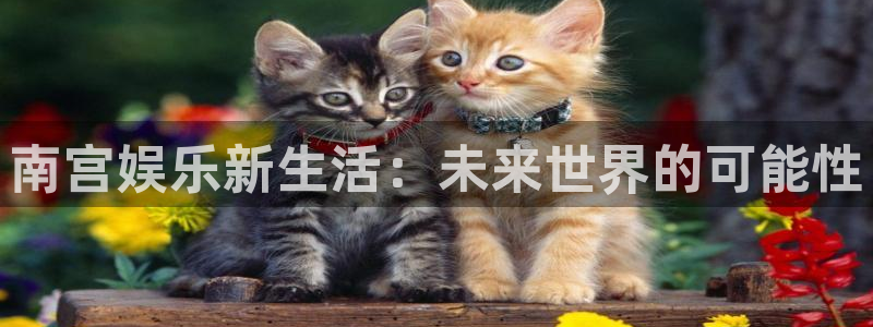 运达娱乐苹果手机下载链接：南宫娱乐新生活：未来世界的可能性