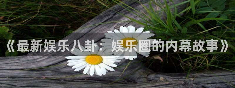 运达娱乐官网版下载：《最新娱乐八卦：娱乐圈的内幕故事》