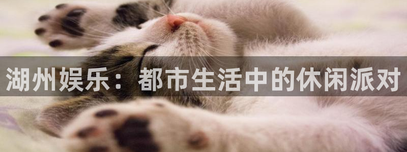运达娱乐游戏官网版：湖州娱乐：都市生活中的休闲派对