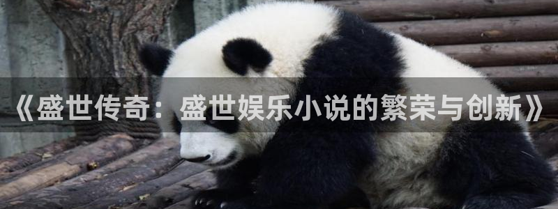 南宫运达娱乐官网版：《盛世传奇：盛世娱乐小说的繁荣与创新》
