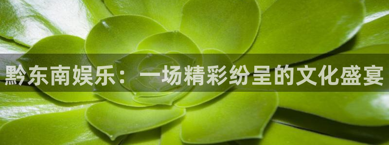 运达娱乐加拿大在线预测：黔东南娱乐：一场精彩纷呈的文化盛宴