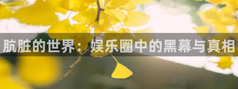 运达娱乐平台官网入口下载：肮脏的世界：娱乐圈中的黑幕与真相