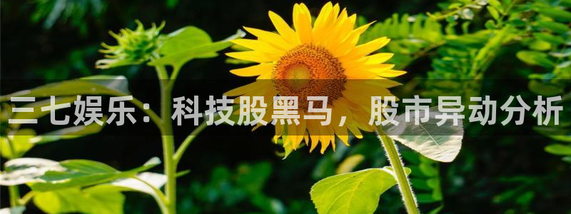 运达娱乐预测在线预测：三七娱乐：科技股黑马，股市异动分析