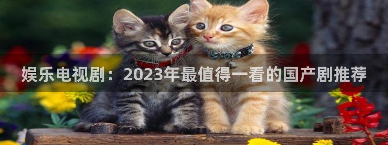 运达娱乐零能源集团：娱乐电视剧：2023年最值得一看的国产剧推荐