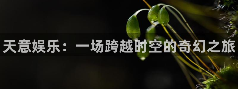 运达娱乐平台注册账号：天意娱乐：一场跨越时空的奇幻之旅