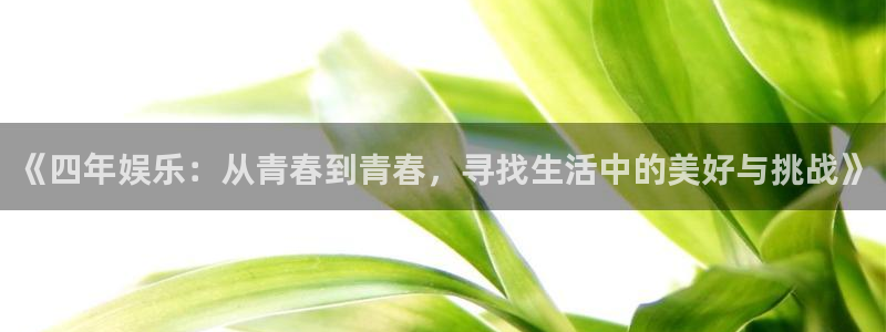 运达娱乐3登录：《四年娱乐：从青春到青春，寻找生活中的美好与挑战》