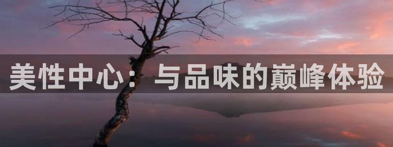 上海运达娱乐汽车电子有限公司：美性中心：与品味的巅峰体验