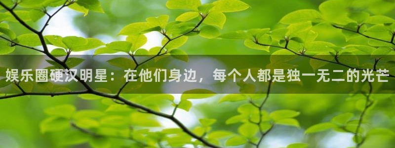 运达娱乐官网下载：娱乐圈硬汉明星：在他们身边，每个人都是独一无二的光芒