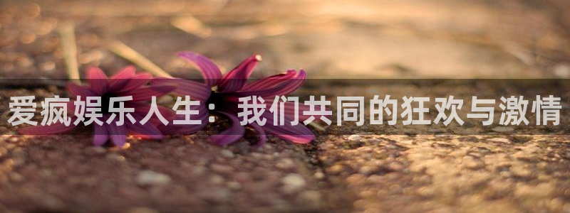 运达娱乐2平台注册：爱疯娱乐人生：我们共同的狂欢与激情