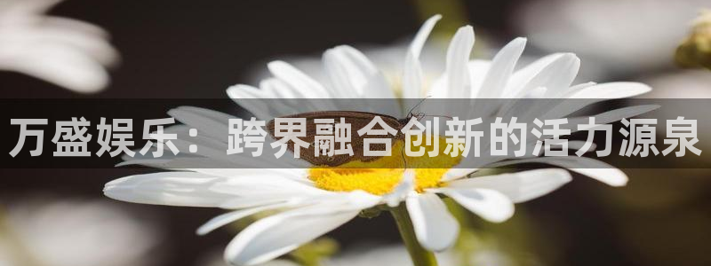 运达娱乐预测在线预测：万盛娱乐：跨界融合创新的活力源泉
