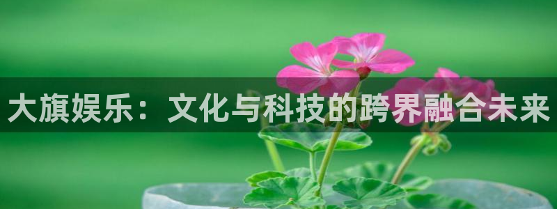 运达娱乐体育注册：大旗娱乐：文化与科技的跨界融合未来