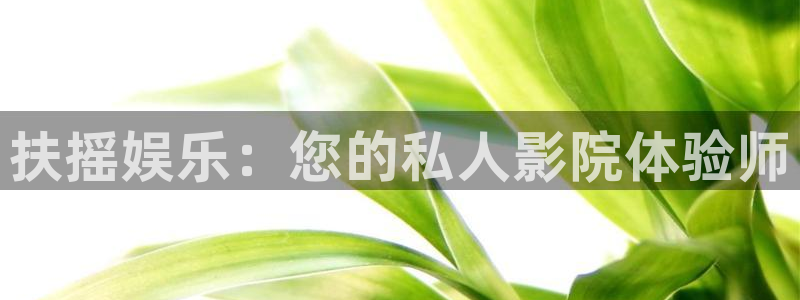 运达娱乐体育