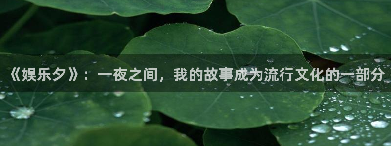 南宫运达娱乐：《娱乐夕》：一夜之间，我的故事成为流行文化的一部分