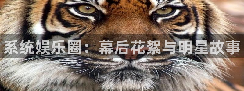 运达娱乐加拿大下载