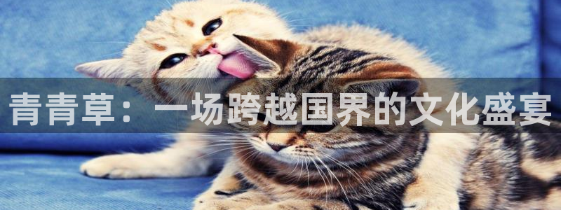 运达娱乐体育游戏