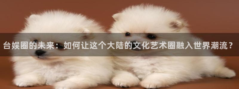 运达娱乐平台在线注册：台娱圈的未来：如何让这个大陆的文化艺术圈融入世界潮流？